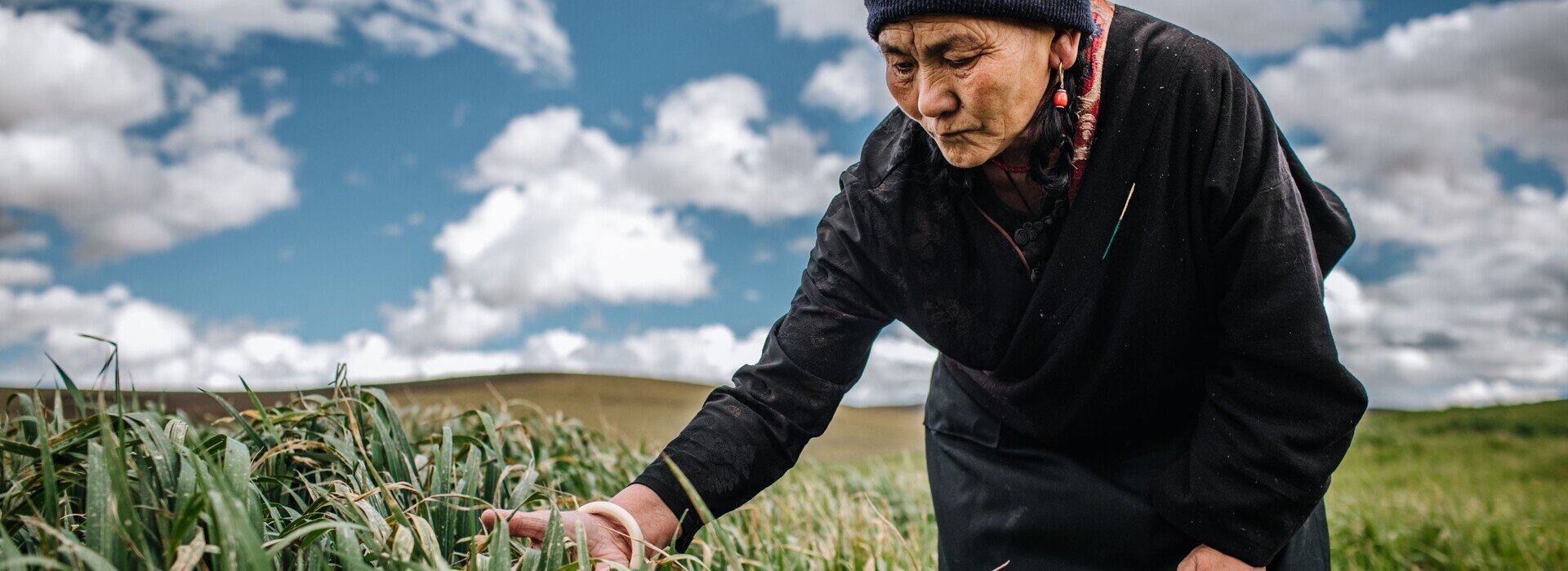 從生態退化到多元發展　青藏高原上的氣候探索