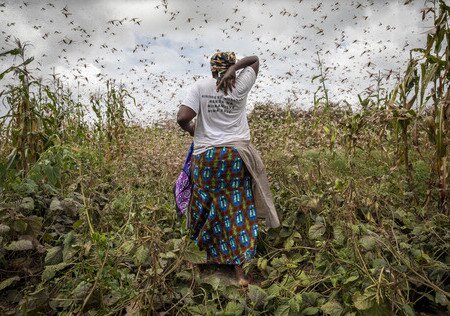 地球受夠了！立刻終止氣候危機！ - 圖像