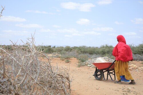 Community Efforts to Combat Water Scarcity in Somalia 
