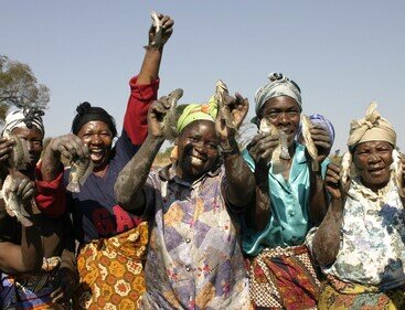 每月捐款: 樂施會小農發展項目