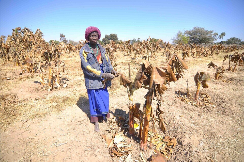 樂施會《乾旱大地的呼喚》電視特輯將於本周六在澳視澳門台播出，分別介紹樂施會於貴州及非洲的扶貧及減災防災工作。