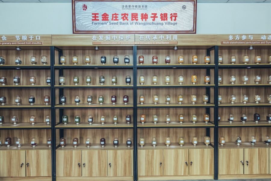 The Wangjinzhuang Farmers' Seed Bank