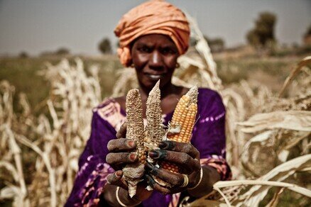 Donate to Oxfam Programmes on Smallholder Farmers 