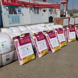 2023 積石山縣地震