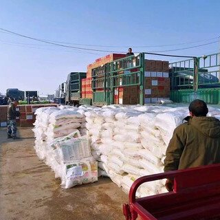 2023 中國東北水災