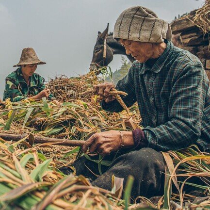 Untitled design (7).jpg