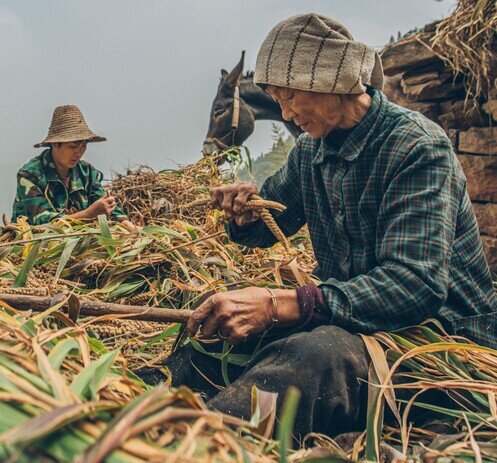 氣候適應 - 樂施會在中國內地  - 圖像