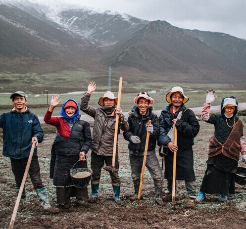 王金莊的氣候韌性農業發展之路 - 氣候適應 - 樂施會在中國內地  - 圖像