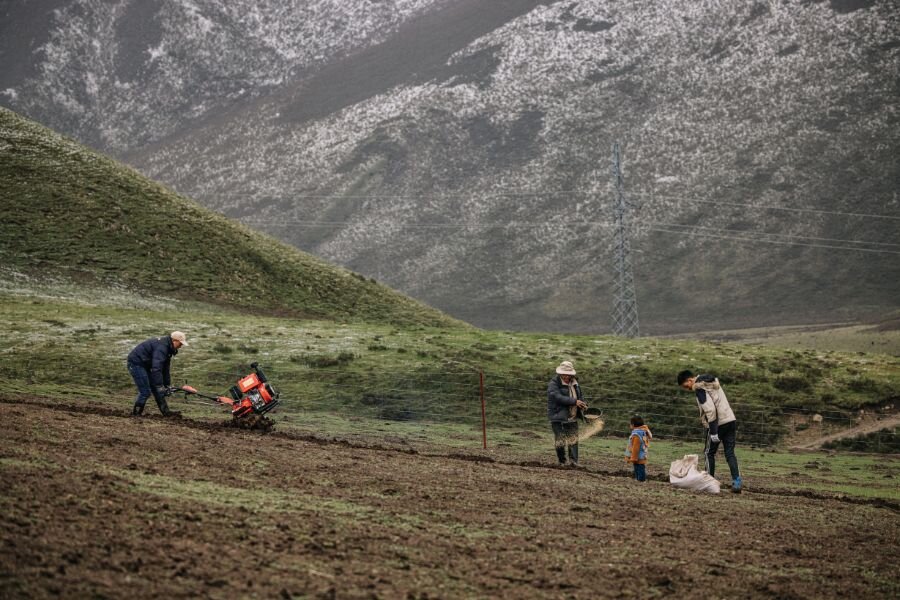 The Wangjinzhuang Farmers' Seed Bank