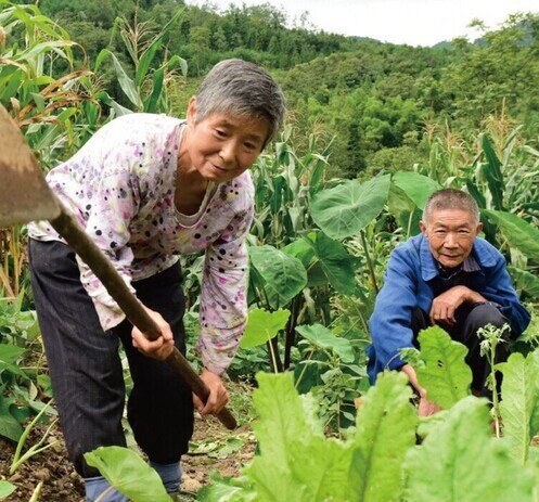 中國內地 - 發展項目 - 圖像